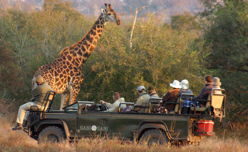 Enkosi Africa, A Tu Medida – Un Safari En África; Nada Que Ver Con ...