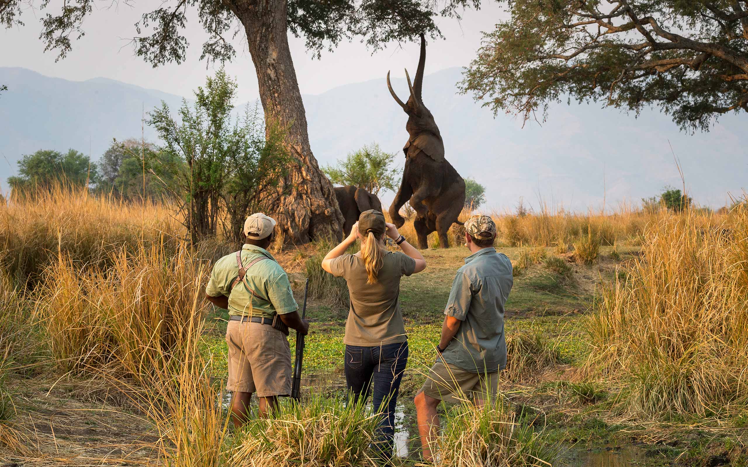 Enkosi Africa, A Tu Medida – El Parque Nacional De Mana Pools